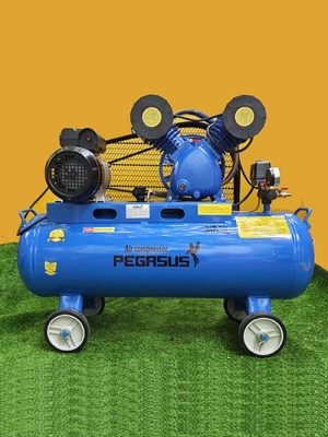 Máy nén khí Pegasus TM- V -0.25/8 (3 HP) 70L
