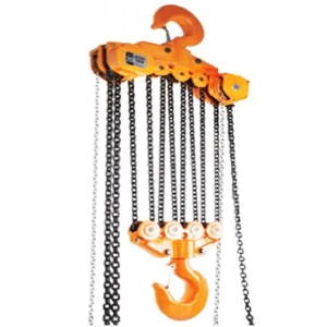 Pa lăng xích kéo tay DSN20