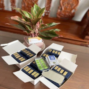 Thuốc Cường Dương Ngựa Thái Lan Chính Hãng