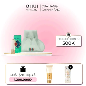 Son Nhung Lì Đông Y Whoo Mi Velvet Lip Rouge No 18 Special Set