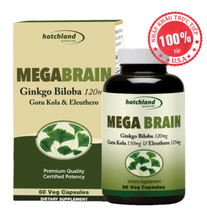 Viên Uống Bổ Não Hotchland Nutrition Mega Brain 60 Viên.