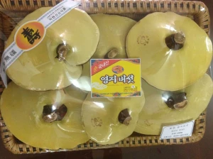 Nấm Linh Chi Núi Đá Thượng Hạng Hàn Quốc