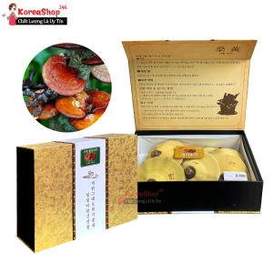 Quà Biếu Nấm Linh Chi Cao Cấp Hộp Gấm Vàng