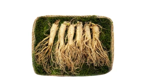 Sâm Tươi Hàn Quốc 6 Củ Trên 1Kg Đóng Khay