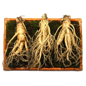 Sâm Tươi Hàn Quốc Chính Hãng 3 Củ 1kg - Siêu Thị KoreaShop24h