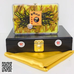 Đông Trùng Hạ Thảo Nguyên Con Cordyceps Militaris Dong Chung Ha Cho Gold 45g 40-45 Con Hàn Quốc
