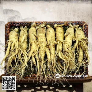 Nhân Sâm Tươi Hàn Quốc 8 củ/kg