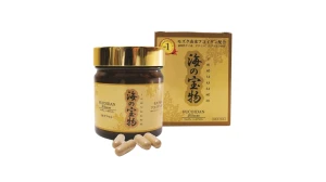 Viên uống hỗ trợ điều trị ung thư Fucoidan Umino Takaramono - 130 viên