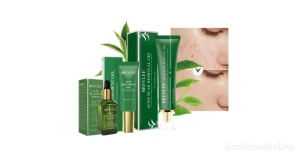 Chăm sóc da mụn tinh chất trà xanh Breylee Acne Scar Removal Gel