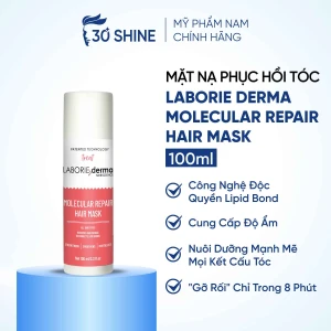 Mặt nạ phục hồi tóc LABORIE derma Molecular Repair Hair Mask