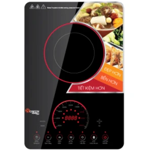 Bếp đơn từ Sowun 189