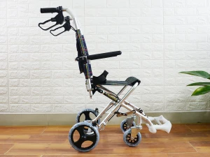 Xe Lăn Du Lịch Bánh Nhỏ