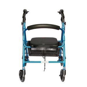 Xe Tập Đi Có Tay Thắng