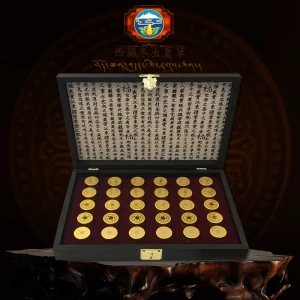 Đông trùng hạ thảo nhân sâm loại 30 viên D048