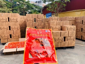 Kẹo Nhân Sâm Đông Trùng Hạ Thảo Dodampos CM (200g)