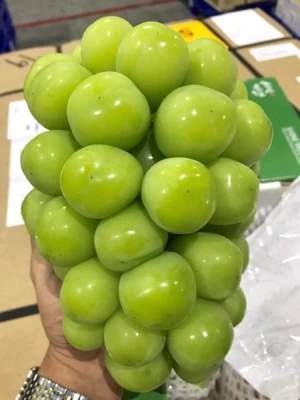 Nho sữa Sangju Hàn Quốc (Thùng 2 chùm - 2kg)