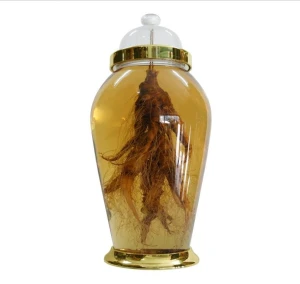 Bình sâm Hàn mã số 2 (30L)