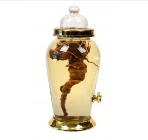 Bình sâm hàn mã số 5 có vòi thể tích 18 lít cao 57 rộng 30cm