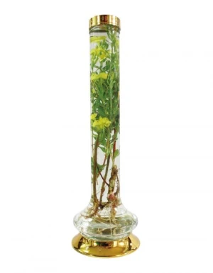 Bình sâm hàn quốc mã số 120 thể tích 2,5 lít cao 50 rộng 15,8cm