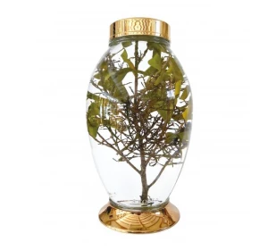 Bình sâm Hàn mã 124 (8,5L)