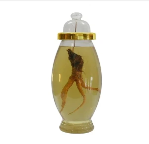 Bình sâm hàn quốc mã số 14 thể tích 15 lít cao 59,5 rộng 24,8cm