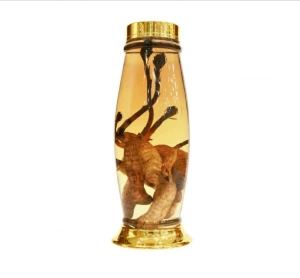 Bình sâm hàn quốc mã số 17 thể tích 4,5 lít cao 42 rộng 15,3cm