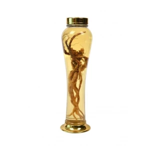 Bình sâm hàn quốc mã số 27 thể tích 2,5 lít cao 40 rộng 14cm