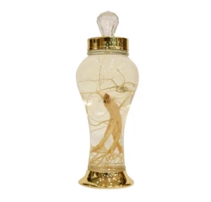 Bình sâm hàn quốc mã số 60 thể tích 1,5 lít cao 36 rộng 13,4cm