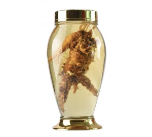 Bình sâm hàn quốc mã số 91 thể tích 4 lít cao 33,5 rộng 17,2cm