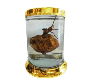 Bình trụ hàn quốc mã số 113 thể tích 15 lít cao 37,5 rộng 25,8