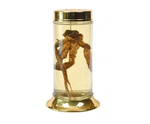 Bình trụ hàn quốc mã số 137 thể tích 11 lít cao 41 rộng 20,4cm