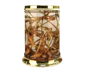 Bình trụ hàn quốc mã số 27 thể tích 43 lít cao 54 rộng 36