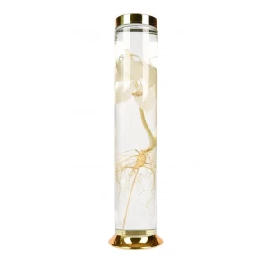 Bình trụ hàn quốc mã số 61 thể tích 1,5 lít cao 37,5 rộng 7,6cm