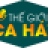 thegioicahat.com